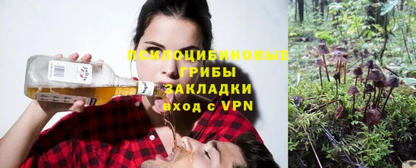 прущая мука Алзамай