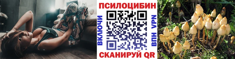 Псилоцибиновые грибы мицелий  Краснознаменск 